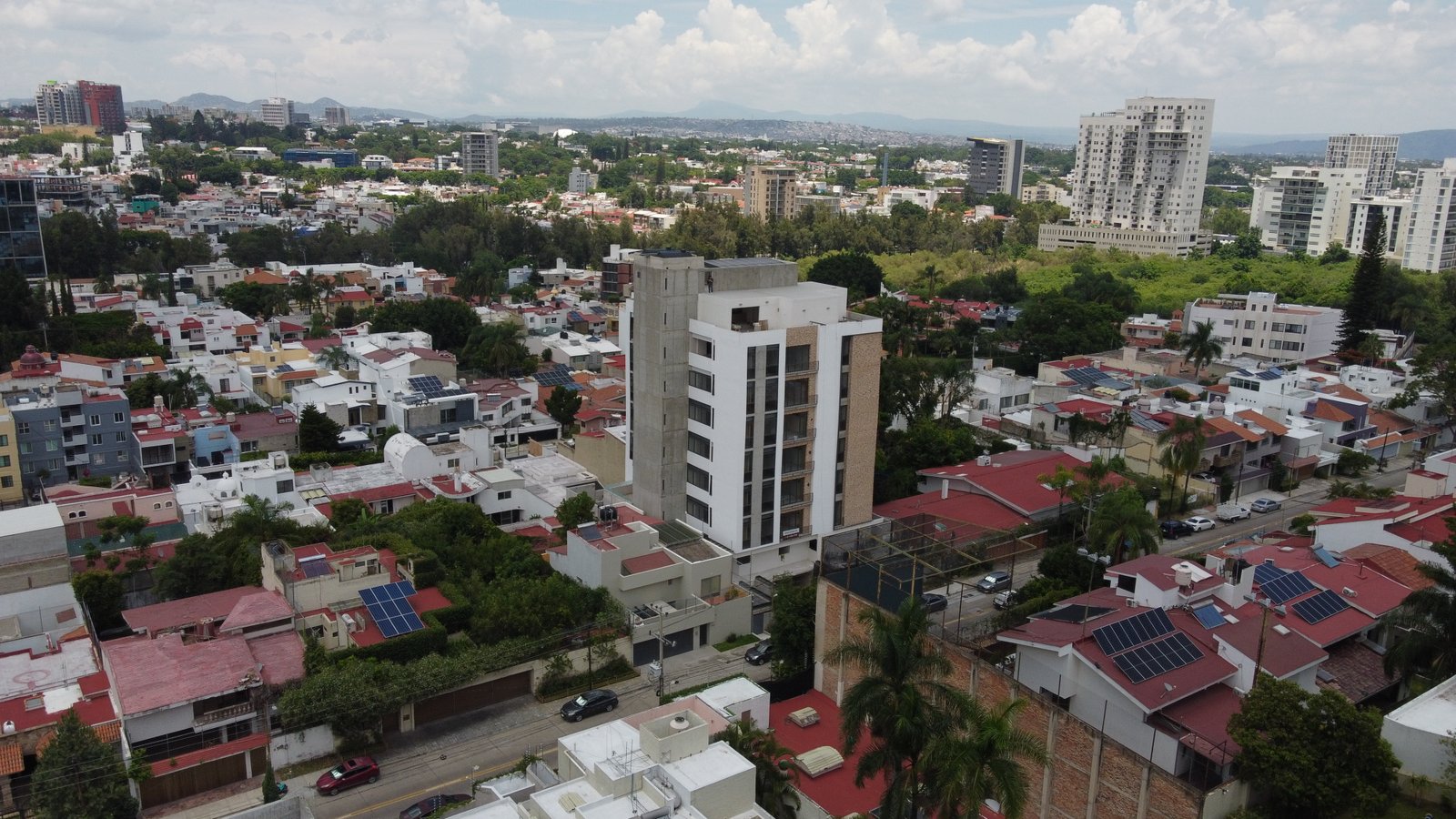 Galería 11
